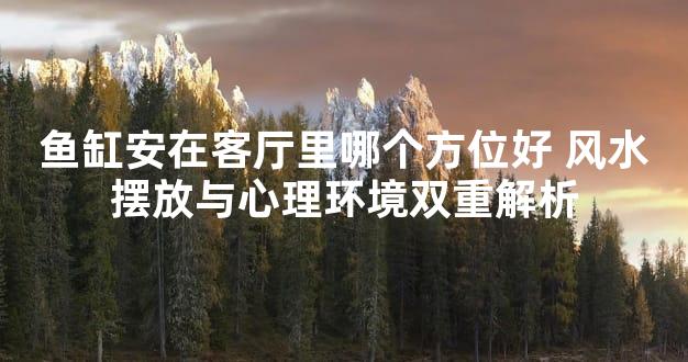 鱼缸安在客厅里哪个方位好 风水摆放与心理环境双重解析